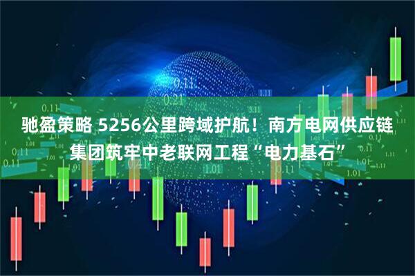 驰盈策略 5256公里跨域护航！南方电网供应链集团筑牢中老联网工程“电力基石”