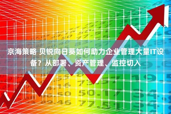 京海策略 贝锐向日葵如何助力企业管理大量IT设备？从部署、资产管理、监控切入