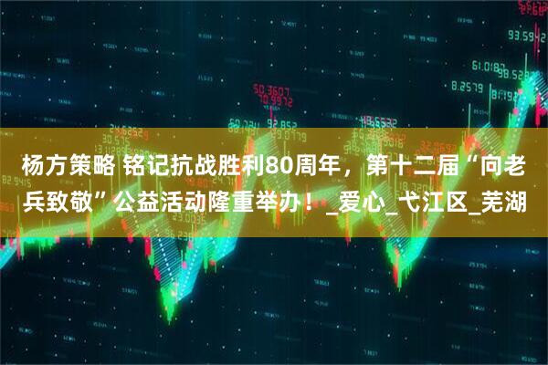 杨方策略 铭记抗战胜利80周年，第十二届“向老兵致敬”公益活动隆重举办！_爱心_弋江区_芜湖
