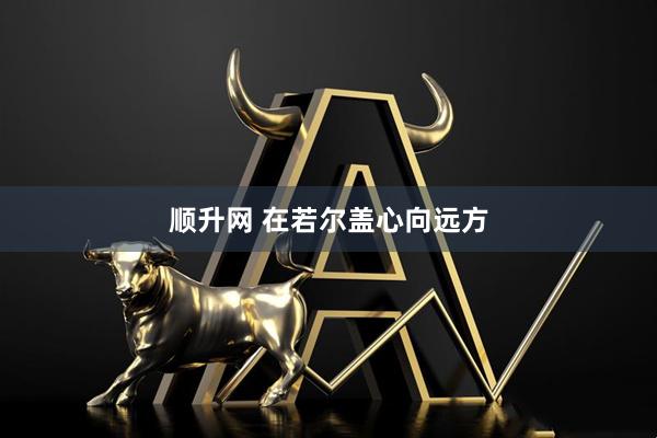 顺升网 在若尔盖心向远方