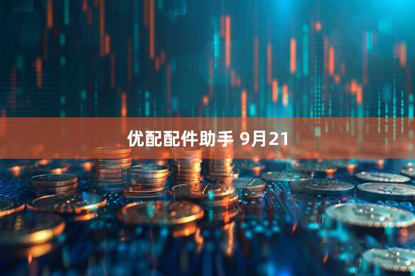 优配配件助手 9月21