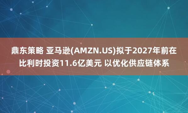 鼎东策略 亚马逊(AMZN.US)拟于2027年前在比利时投资11.6亿美元 以优化供应链体系