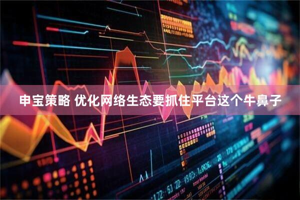 申宝策略 优化网络生态要抓住平台这个牛鼻子