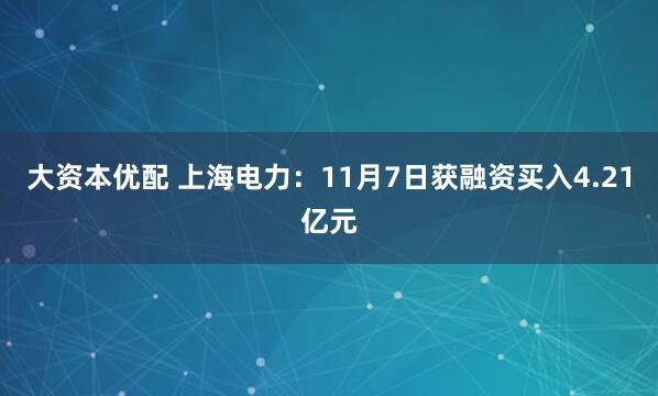 大资本优配 上海电力：11月7日获融资买入4.21亿元