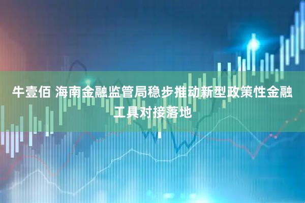牛壹佰 海南金融监管局稳步推动新型政策性金融工具对接落地